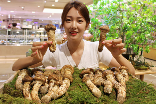 사진제공｜롯데백화점