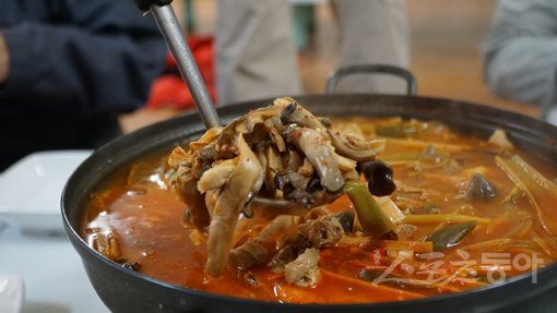 괴산 별미식당의 산버섯찌개. 사진｜김재범 기자 oldfield@donga.com