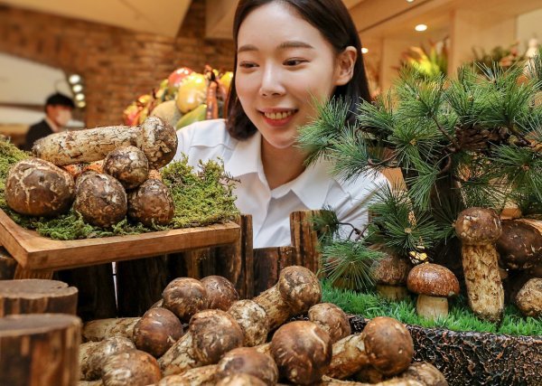 사진제공 l 현대백화점