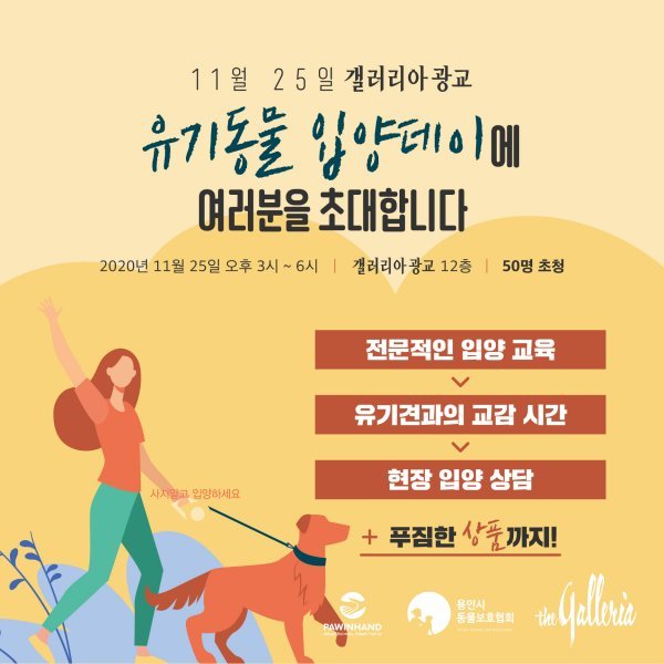 유기동물 입양 플랫폼 포인핸드가 ‘유기동물 입양데이’를 25일 개최한다. 
사진제공 l 포인핸드