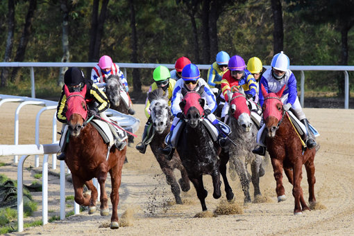 한국마사회가 유럽에 경마 경주를 발매하는 배급사와 제주경마 수출 계약을 체결해 이젠 유럽에서도 제주경마 레이스를 볼 수 있게 됐다. 사진제공｜한국마사회