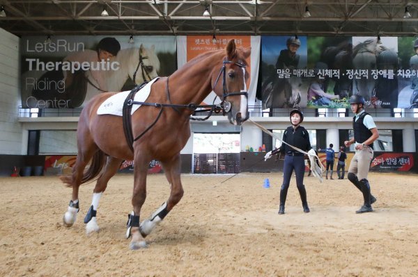 말산업 컨소시엄 교육