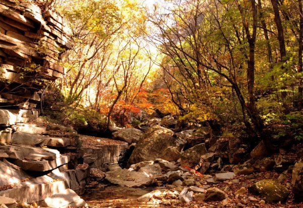 금수산 가을 계곡의 모습. 수도권에서 차로 긴 시간 투자하지 않아도 이런 가을 경치를 만날 수 있다.