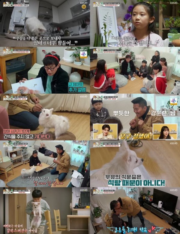 [사진 제공 : KBS2 ‘개는 훌륭하다’ 캡처]