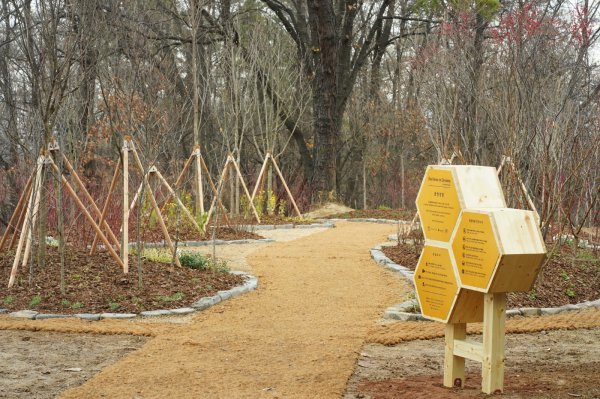 포르쉐코리아의 도시 양봉 프로젝트 ‘빌리브 인 드림’ 꿀벌 정원. 사진|포르쉐코리아