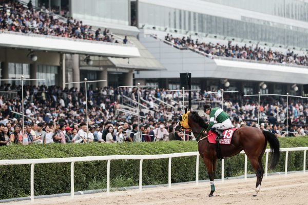 2019년 코리아 스프린트 우승 당시 블루치퍼.
사진제공 | 한국마사회