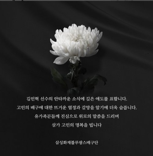 사진출처 | 삼성화재 블루팡스 SNS