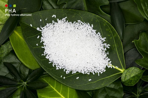롯데케미칼이 중앙대 윤성호 교수와 공동으로 석유화학 기반의 생분해성 플라스틱 소재인 PHA(사진) 생산 기술 개발에 나선다. 상업화되면 석유화학 원료 기반으로는 세계 최초의 생산 사례가 된다. 사진제공 | 롯데케미칼
