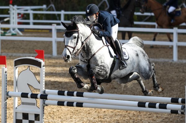 승용마들이 기량을 겨루는 한국마사장배 승마대회.
사진 | 한국마사회