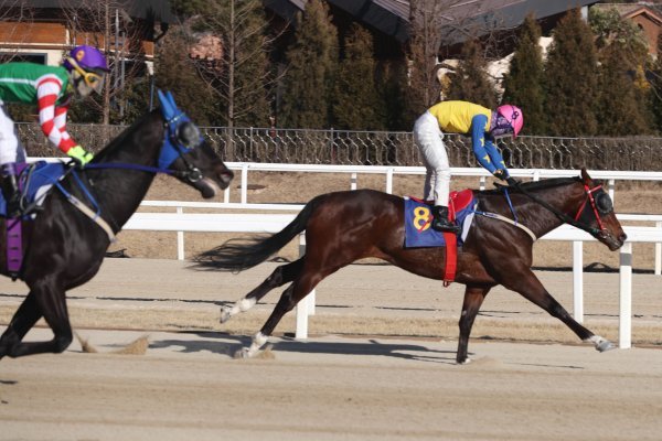 올해 첫 대상경주인 스포츠서울배에서 결승선을 가장 먼저 통과하는 승부사와 장추열 기수.
사진 | 한국마사회