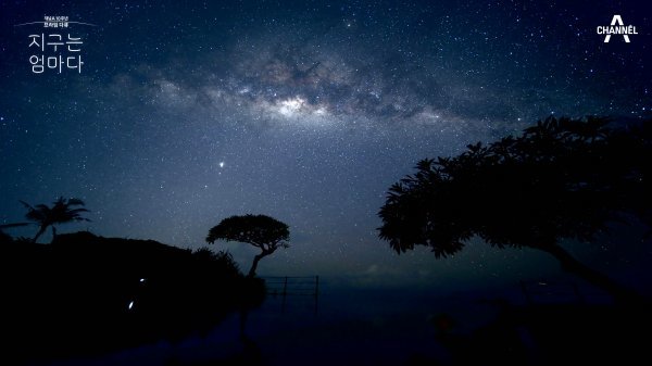 채널A 창사 10주년 프라임다큐 ‘지구는 엄마다’