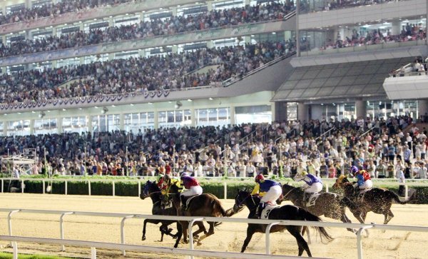 서울경마공원 야간경마. 사진제공 | 한국마사회