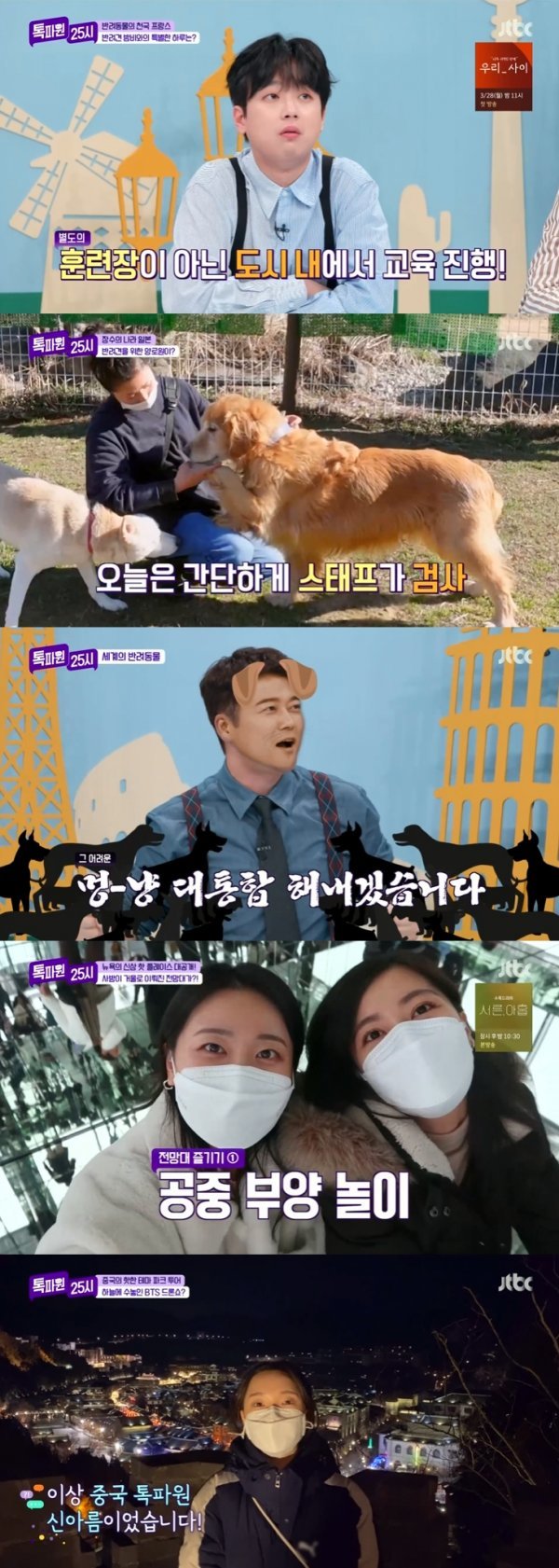 사진 출처: JTBC <톡파원 25시>