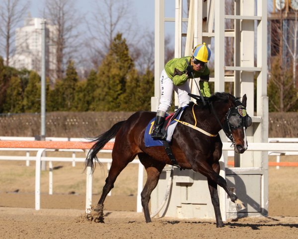 제25회 동아일보배에서 우승한 라온퍼스트와 최범현 기수가 결승선을 통과하면서 승리의 포즈를 취하고 있다.사진제공｜한국마사회
