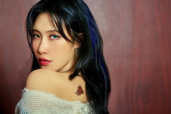 [사진 제공 : 제이지스타]