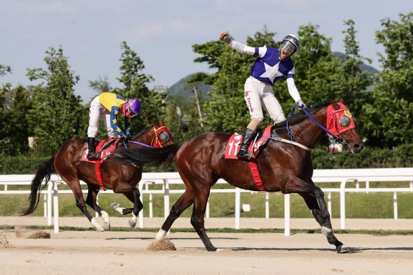 위너스타. 사진제공 | 한국마사회