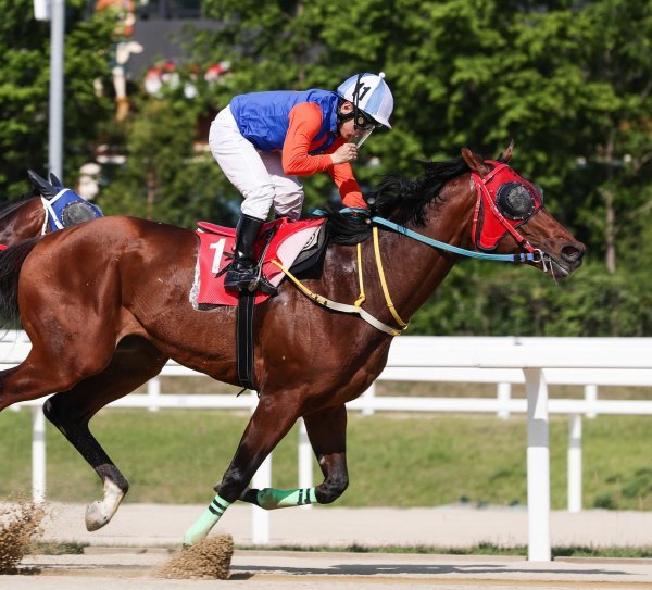 5월29일 YTN배에서 우승한 위너스맨과 서승운 기수. 사진제공|한국마사회