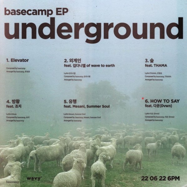 [사진 = WAVY(웨이비) 제공]