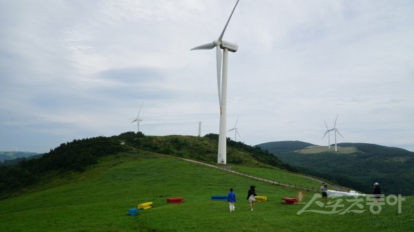 대관령하늘목장의 하늘마루 전망대에 있는 풍력발전기. 목장의 명물 트랙터 마차를 타고 올라가면 이처럼 멋진 풍경이 펼쳐진다. 평창｜김재범 기자 oldfield@donga.com