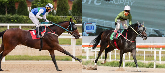 ‘트리플 티아라’를 모두 우승하며 올해 가장 뜨거운 상승세를 타고 있는 골든파워(왼쪽 사진)와 골든파워의 최대 라이벌로 꼽히는 라온더스퍼트.

사진제공 ｜ 한국마사회