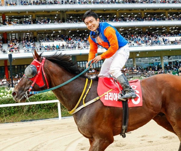 13일 열리는 ‘제18회 대통령배’ 대상경주에 나서는 위너스맨. 출전마 중 레이팅, 최근 누적상금, 해당거리 최고기록 등 객관적 지표 측면에서 모두 1위다. 좋은 폐활량과 스피드가 강점이다. 사진제공 | 한국마사회