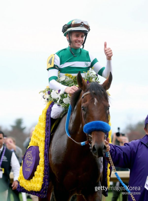 미국 브리더스컵서 우승한 ‘플라이트라인’. 사진=게티이미지코리아