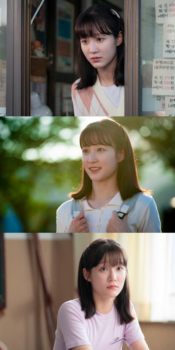 사진 제공: 아크미디어