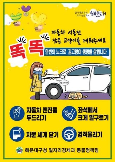 부산 해운대구가 진행하는 길고양이 보호정책 ‘똑똑~ 모닝 노크’ 캠페인 홍보 포스터. 사진제공 | 부산 해운대구