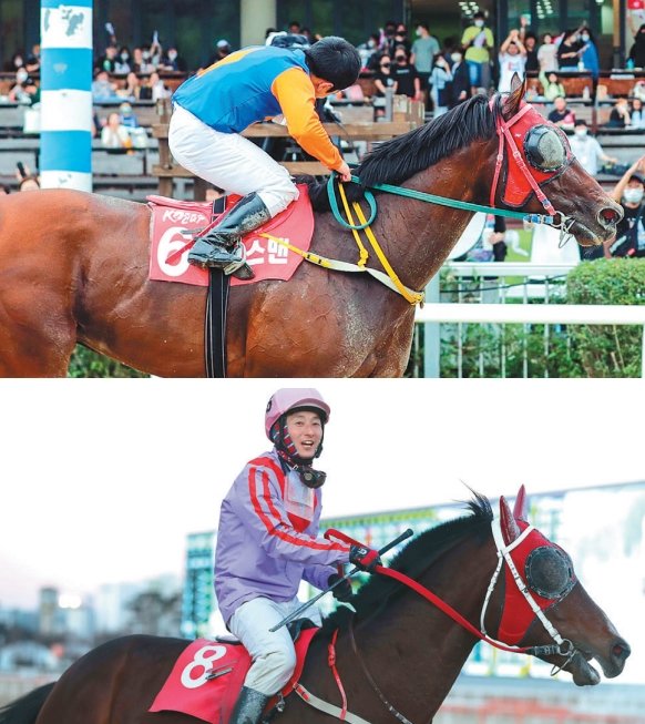 11일 렛츠런파크 서울에서 열리는 올해 마지막 대상경주인 그랑프리에서 강력한 우승 후보로 꼽히는 위너스맨(사진 위)과 라온퍼스트. 사진제공 l 한국마사회