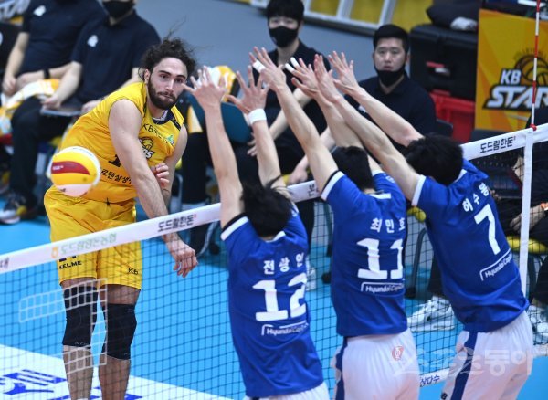 KB손해보험 니콜라. 스포츠동아DB