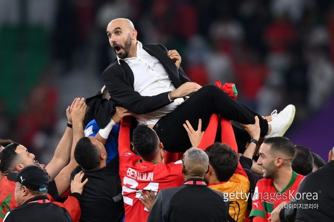 헹가래를 받는 왈리드 레그라기 감독. 사진=게티이미지코리아