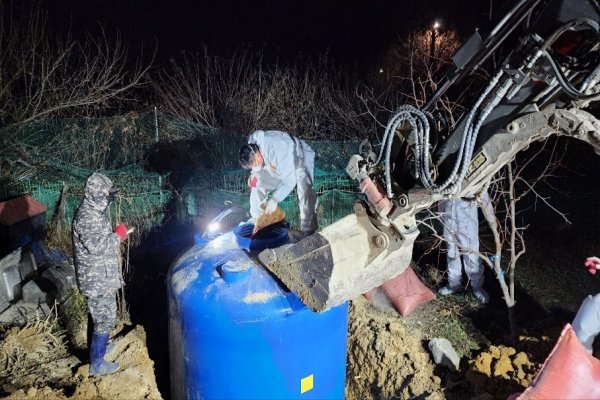 부산시가 지난 19일 기장군의 한 농장에서 조류인플루엔자 H5형 항원이 검출됨에 따라 긴급 방역 조치를 시행한 가운데 방역요원들이 살처분을 진행하고 있다. 사진제공｜부산시