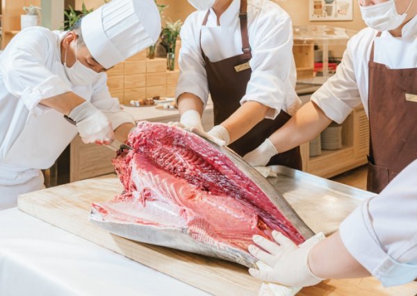 토스카나호텔의 참치해체쇼. 오는 24, 25일 호텔 메인 레스토랑인 ‘까보스코’에서 ‘참치해체쇼‘가 열리고 참치 방어회, 와인을 무제한 제공한다.