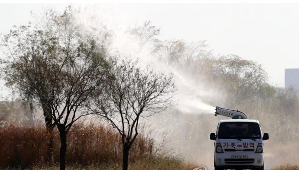 부산 사하구 을숙도에서 채취한 야생조류 분변에서 고병원성 조류인플루엔자(AI)가 검출돼 22일 부산시가 긴급 방역을 하고 있다. 사진제공｜부산시