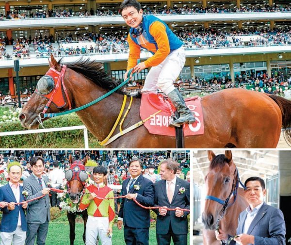 3년만에 열린 국제경마대회 ’코리아컵’에서 우승한 위너스맨과 서승운 기수(위). 최고의 3세 암말을 가리는 트리플 티아라
시리즈에서 3경주 모두 우승해 초대 여왕의 자리에 오른 골든파워와 손병철 마주(오른쪽 아래). 3년만에 열린 국제경마대회 코리아컴
중1200m 단거리인 코리아스프린트에서 반마신차의 역전승으로 우승 트로피를 든 어마어마와 문세영 기수 및
관계자들.사진제공|한국마사회
