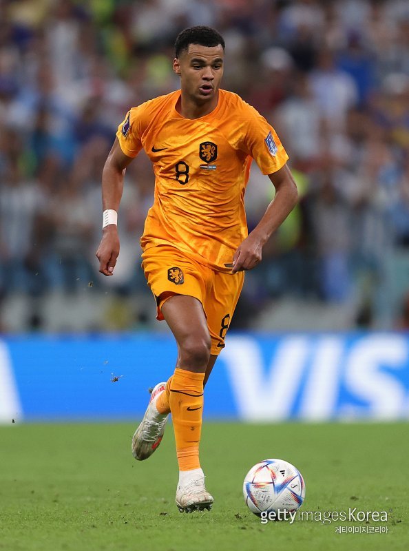 코디 각포. 사진=게티이미지코리아