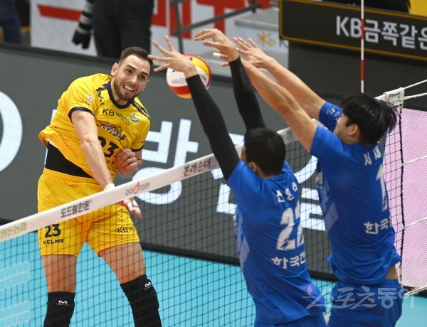 KB손해보험 비예나. 스포츠동아DB