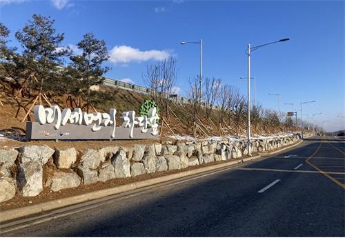 김포 한강시네폴리스 일원에 미세먼지 차단 숲 조성 모습. 사진제공 | 김포시