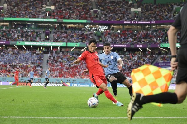 카타르월드컵 국가대표 나상호 선수