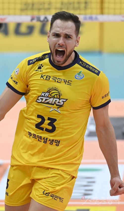 KB손해보험 비예나. 스포츠동아DB