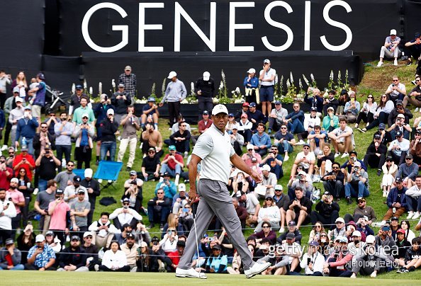 타이거 우즈. 사진=게티이미지코리아