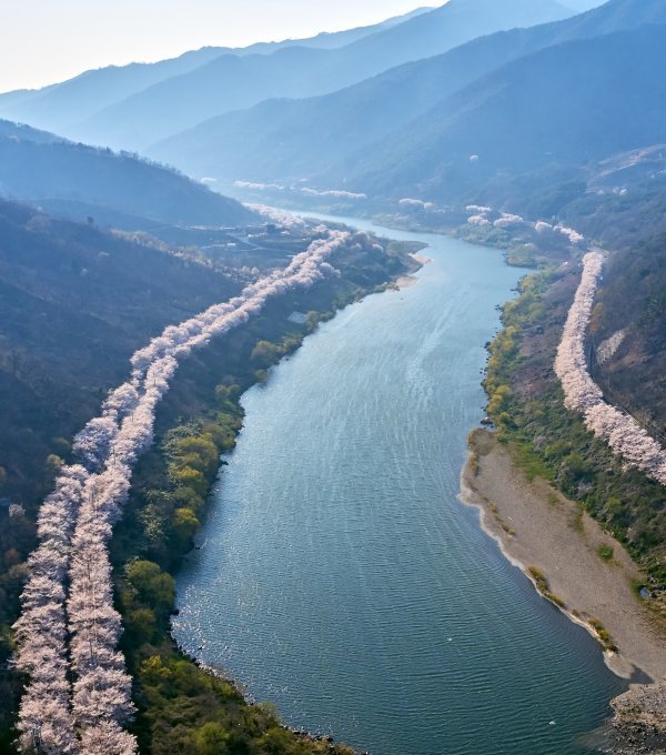 천혜의 자연환경을 갖춘 섬진강 일대. 사진제공ㅣ구례군