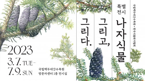 ‘나자식물 그리고, 그리다’ 특별전시회 포스터. 사진제공ㅣ국립백두대간수목원