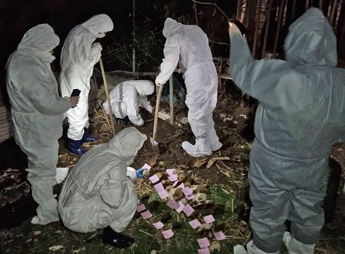 경기도 특별사법경찰단이 지난 24일 광주시 소재 육견농장에서 동물 사체룰 발견해 확인하고 있다. 사진제공|경기도