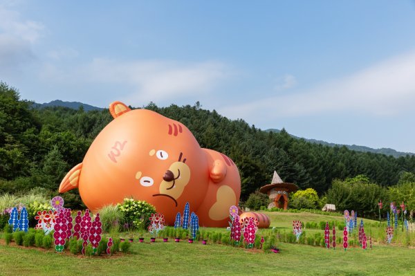 지난 여름 봉자페스티벌 당시 촬영한 국립백두대간수목원 백두랑이. 사진제공ㅣ정원사진가 우승민