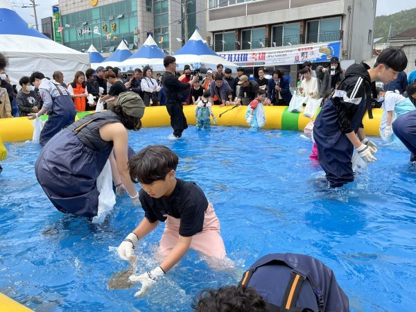 제13회 영덕 물가자미 축제 현장. 사진제공 | 영덕군