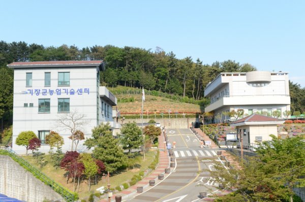 부산 기장군 농업기술센터 전경. 사진제공ㅣ부산 기장군