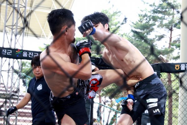 지난해 열린 울진 파이팅 챔피언십 종합격투기 대회. 사진제공ㅣ울진군