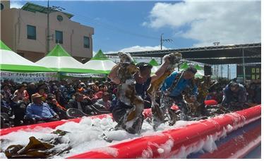 지난 13일 제14회 금일읍 다시마 축제 사진. 사진제공 | 완도군