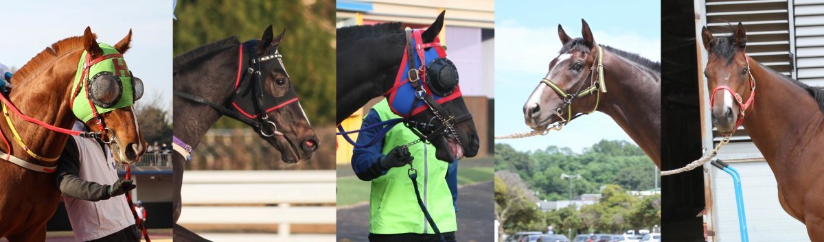 섬싱로스트·라온자이언트·나올스나이퍼·스피드영·월드레전드(왼쪽부터 순서대로).